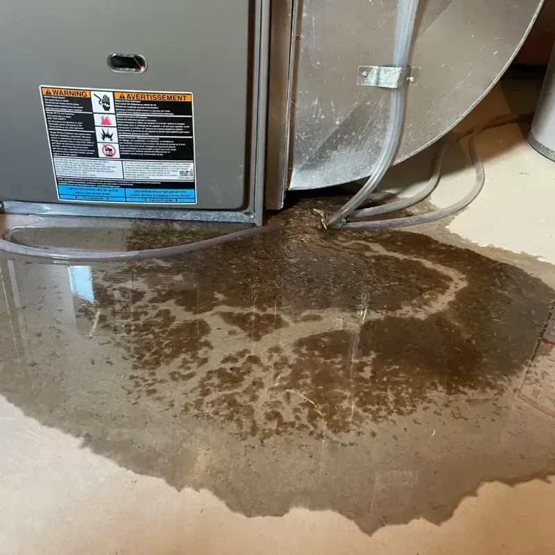 Appliance Leak Cleanup in Kaibito, AZ